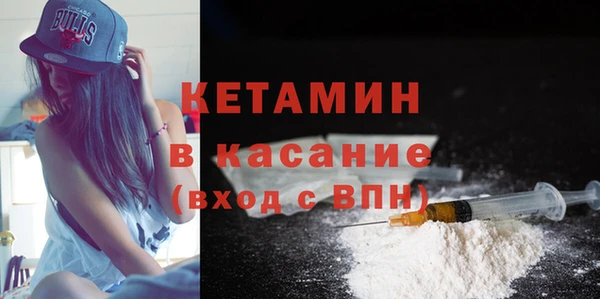 индика Беломорск