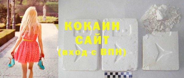 шишки Белоозёрский