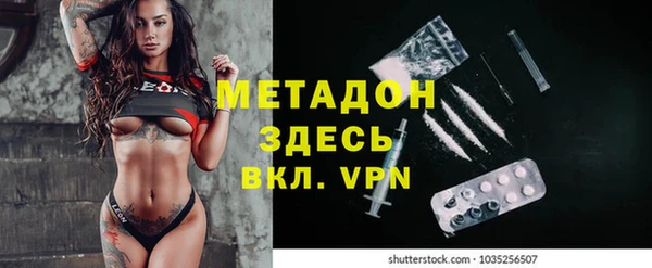 шишки Белоозёрский