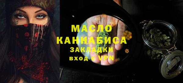 индика Беломорск