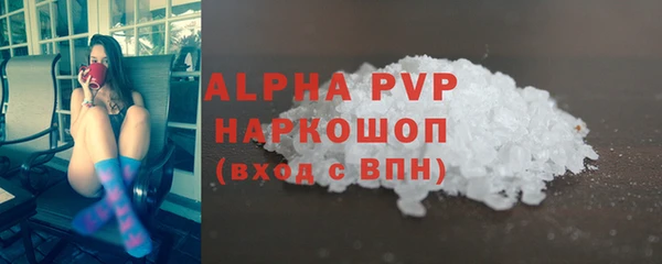 шишки Белоозёрский