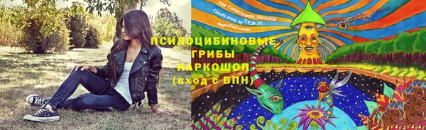 шишки Белоозёрский
