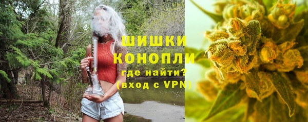 индика Беломорск