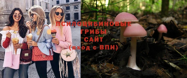 индика Беломорск