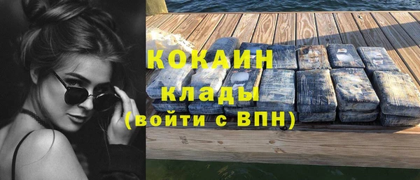 индика Беломорск
