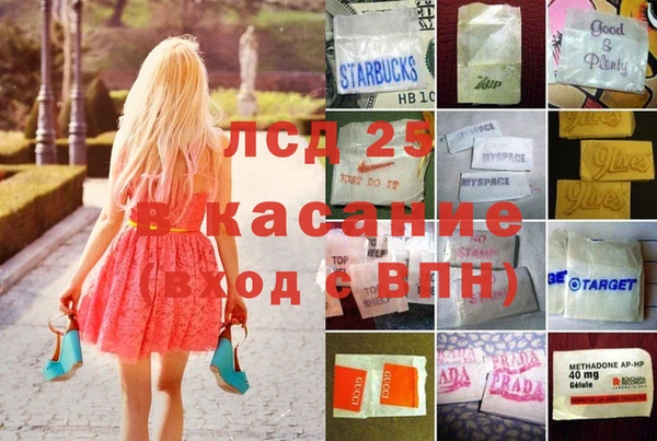 индика Беломорск