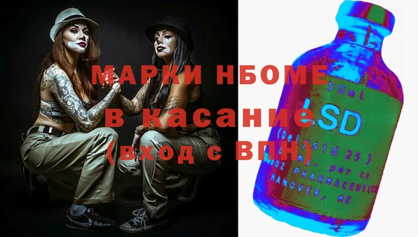 шишки Белоозёрский