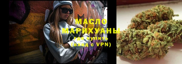 индика Беломорск