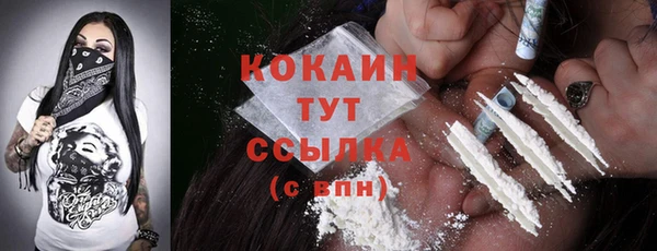 индика Беломорск