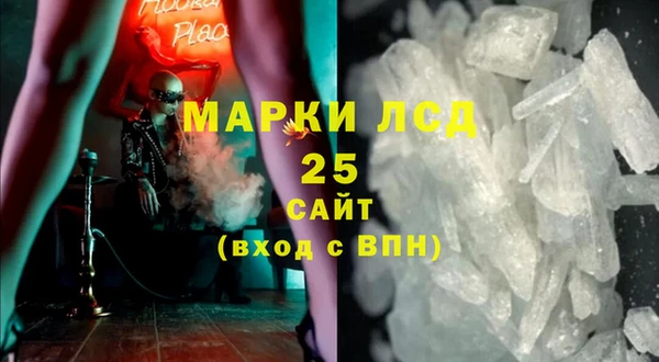 шишки Белоозёрский